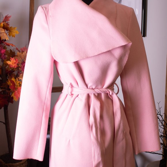 Pink Jacket - Picture 4 of 4